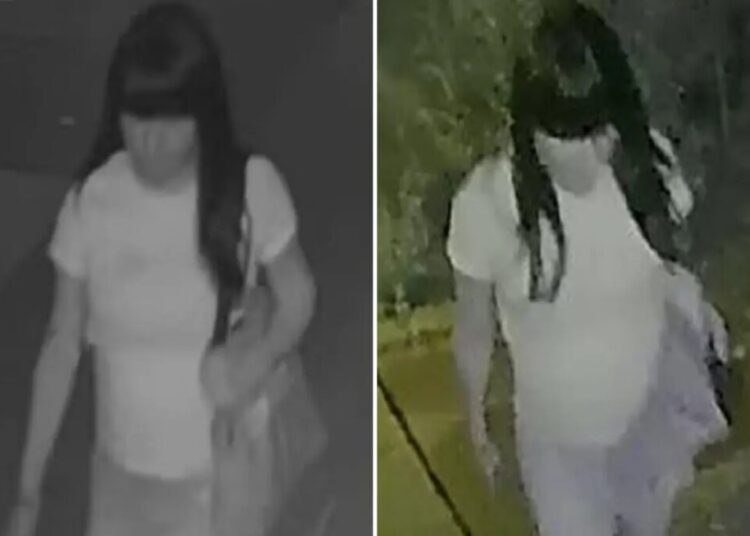 Police searching for creep who raped boy, 15, in back of NYC home