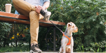Controversial App Lets Dog Owners Rent Out Their Pets by the Hour to Strangers