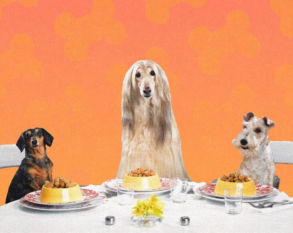 We Make Lovely Home-Cooked Meals for Ourselves. Why Not Do the Same for Our Dogs?