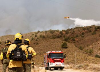 At least 11 people killed as wildfires sweep southern Spain
