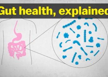The truth about gut health