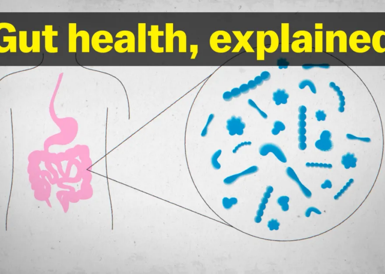 The truth about gut health