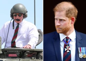 As Prince Harry leaves California for UK visit, a military role awaits
