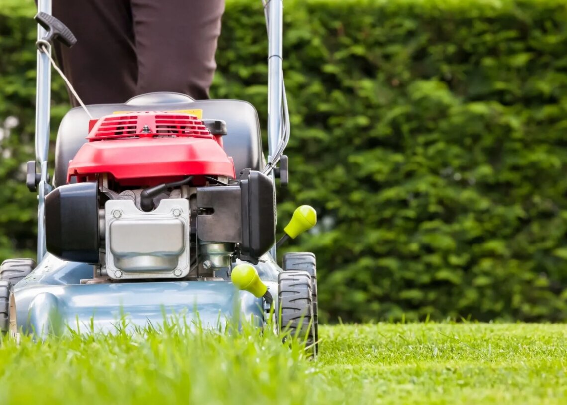 Here’s How Many Bugs You’re Killing Every Time You Mow Your Lawn