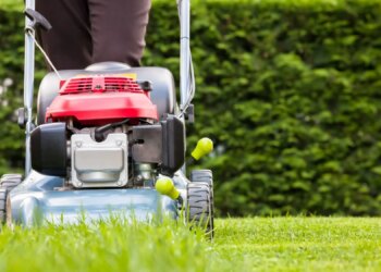Here’s How Many Bugs You’re Killing Every Time You Mow Your Lawn