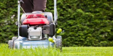 Here’s How Many Bugs You’re Killing Every Time You Mow Your Lawn