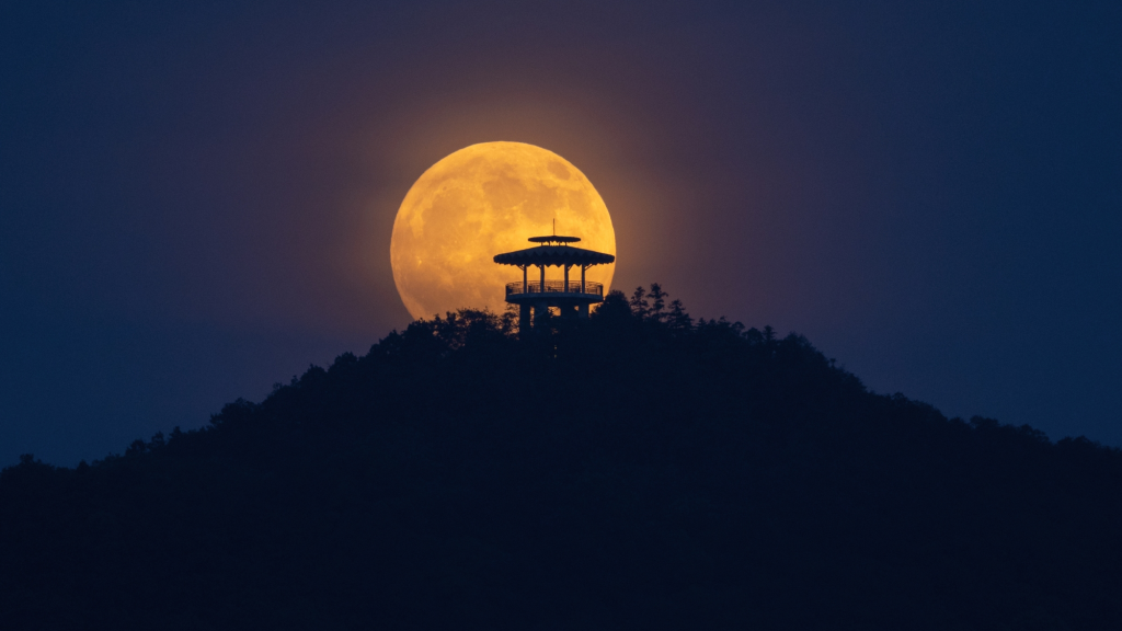 How to Survive the Chaotic Healing Energy of the Scorpio Full Moon This Weekend