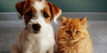 Introducing ‘Petfishing,’ the Dating Trend Turning Dogs and Cats Into Bait