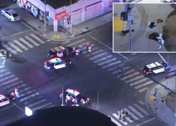 Four people shot in east Los Angeles following Mexico-England World Cup match: cops
