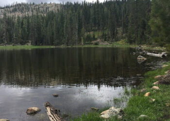 U.S. Forest Service Employees Are Freed After 15-Hour Hostage Ordeal