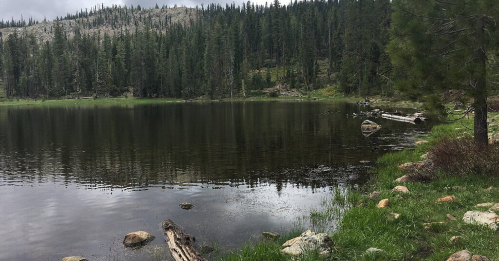 U.S. Forest Service Employees Are Freed After 15-Hour Hostage Ordeal
