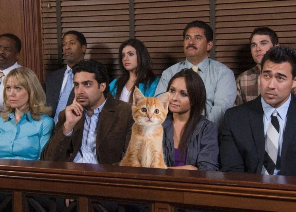 Man Claims His Cat Got Jury Duty, and He Spent Six Weeks Fighting to Get Out of It