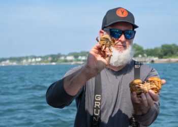 ‘This is Jerry’: How a Maine lobsterman and a seagull became friends