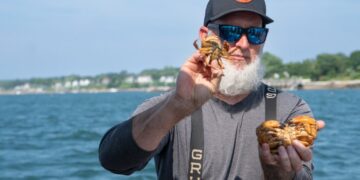 ‘This is Jerry’: How a Maine lobsterman and a seagull became friends
