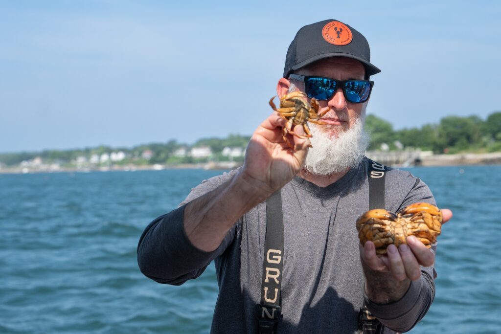 ‘This is Jerry’: How a Maine lobsterman and a seagull became friends