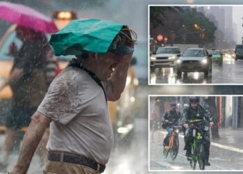 NYC hit with flash flood warnings as downpours batter Big Apple and force flight delays