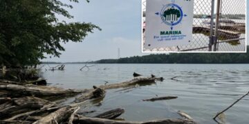 5 dead after two sets of parents rush into Ohio River to rescue struggling swimmer and all drown