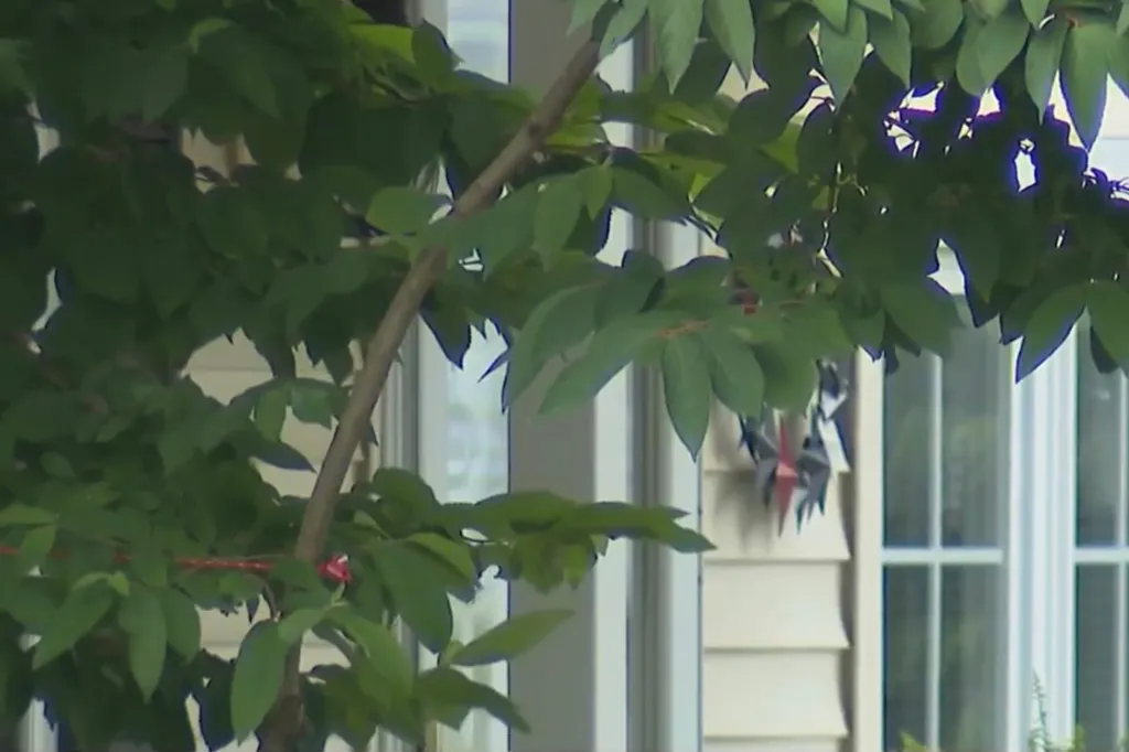 A leafy branch in the foreground partially obscures a cream-colored house with a window and a star decoration on the siding.