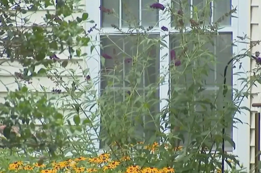 A white house with a window, surrounded by green foliage, purple flowers, and yellow coneflowers.