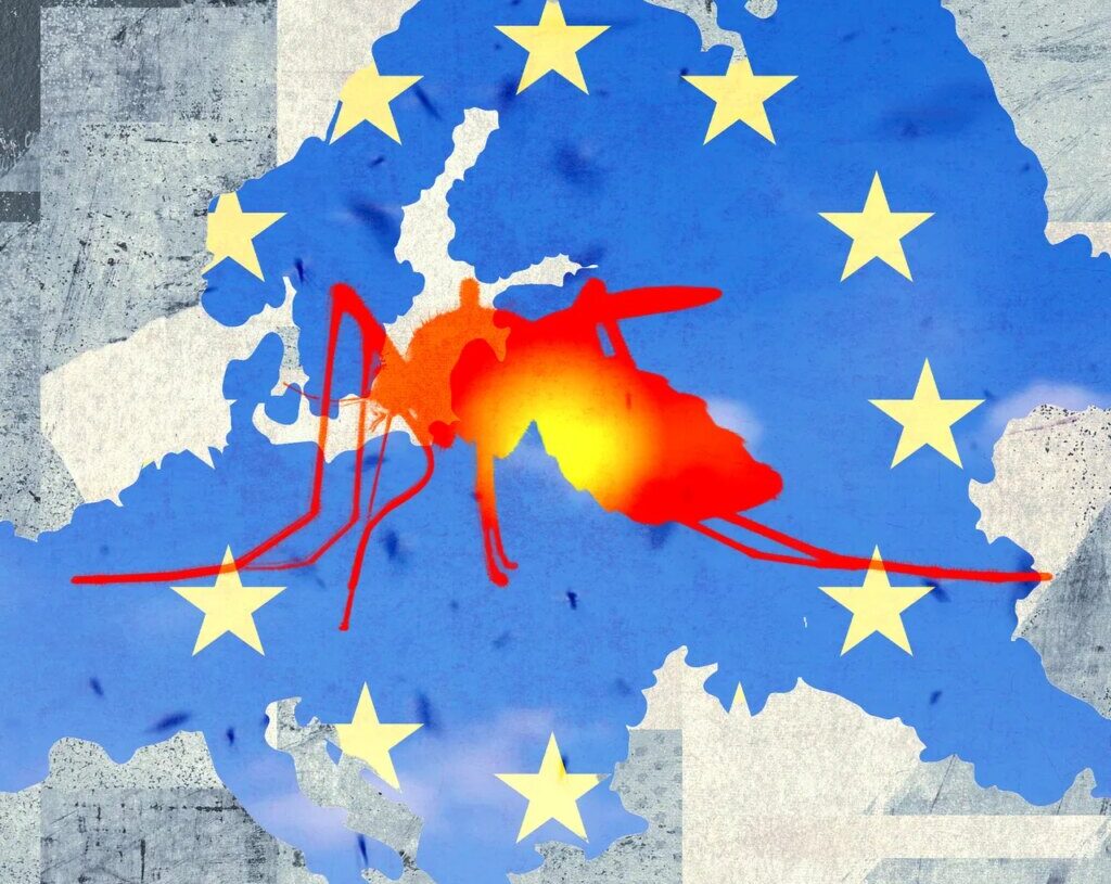 Tropical Diseases Like Dengue Fever and Chikungunya Are on the Rise in Europe
