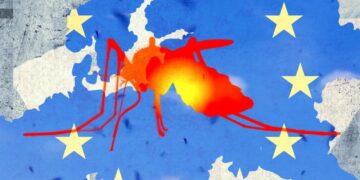 Tropical Diseases Like Dengue Fever and Chikungunya Are on the Rise in Europe