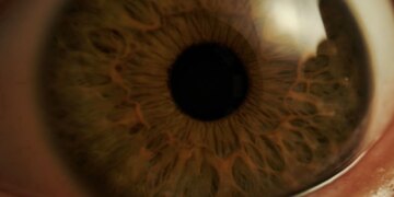 Scientists Built a 3D-Printed Box That Can Keep Eyes Alive After Death