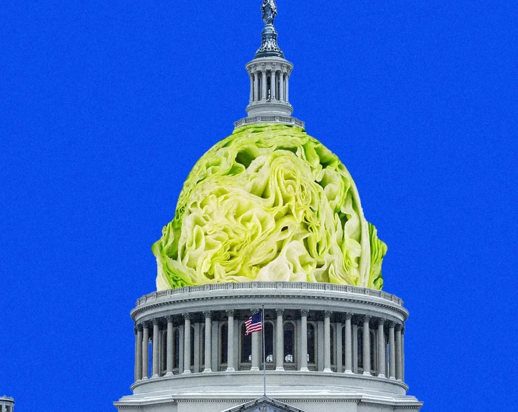 Taylor Farms Spent Big on MAGA and Anti-Regulatory Lobbying Before Diarrhea Outbreak