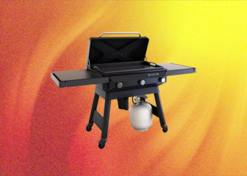 The Best July 4 Grill and Griddle Deals: Weber, Traeger, Recteq