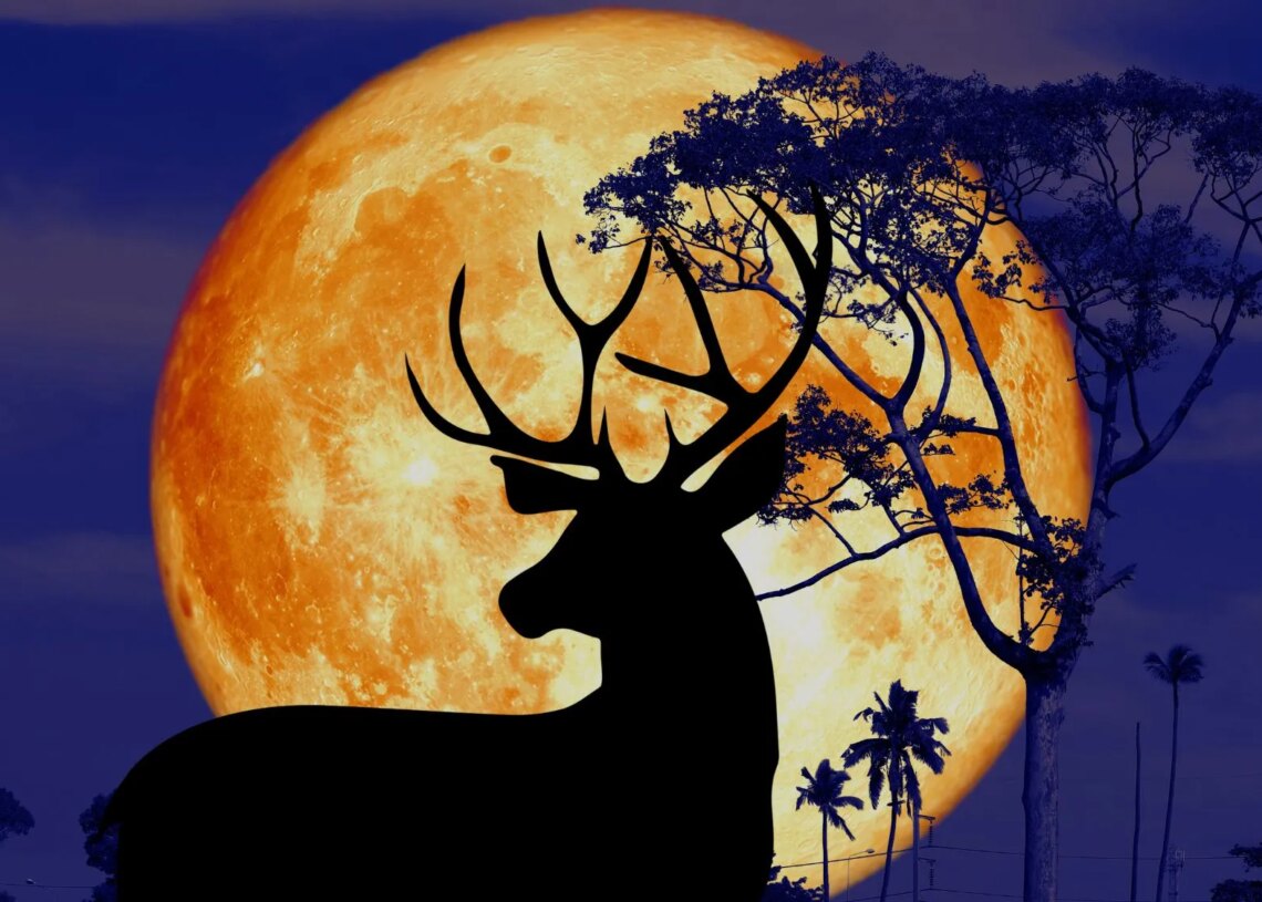 These 4 Zodiac Signs Will Benefit Most From Tonight’s Buck Moon, According to an Astrologer