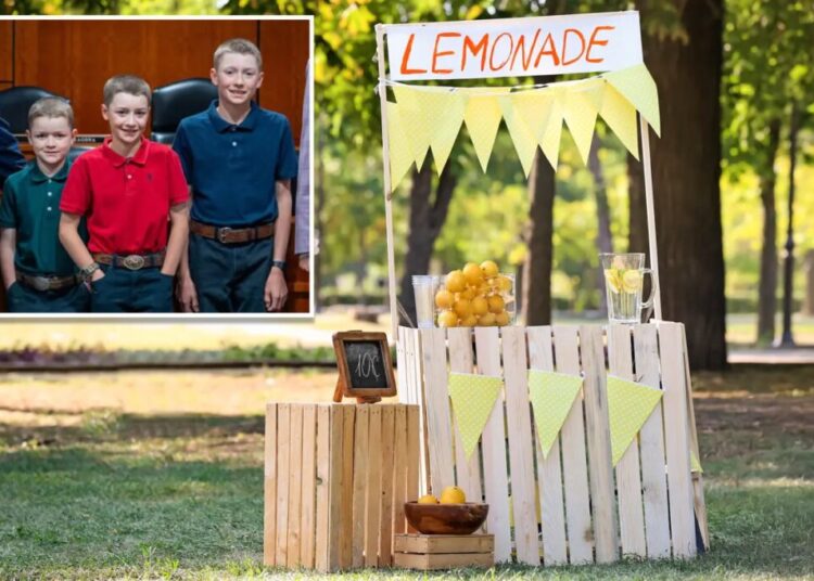 3 young brothers were told they’d have to pay $400 to set up a lemonade stand — they convinced lawmakers to change that