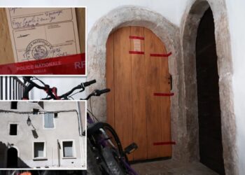 Husband finds 5 dead babies hidden in boxes in French home after fight with wife