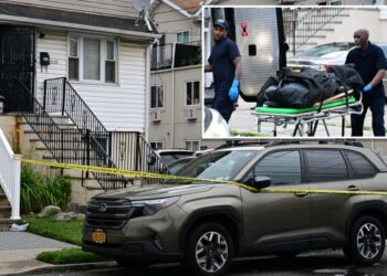 Disgruntled son, 26, arrested for stabbing retired corrections officer mom to death in NYC home