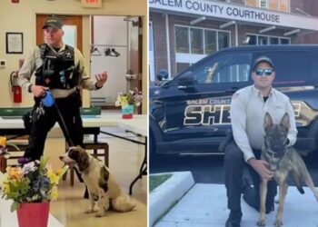 NJ cop in charge of K-9 unit charged after leaving two police dogs to die in hot car for 7 hours: report
