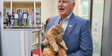 Bruce Blakeman calls for greater animal protections after 155 neglected cats, dogs rescued from LI hoarder’s house of horrors