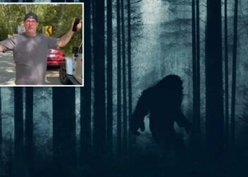Rhode Island dad claims he saw Bigfoot in Connecticut woods — and detailed that it had ‘no boobs’