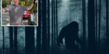 Rhode Island dad claims he saw Bigfoot in Connecticut woods — and detailed that it had ‘no boobs’
