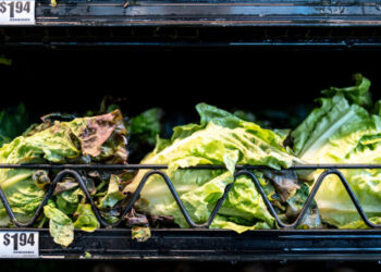 Health Officials in Michigan Identify ‘Potential Source’ of Cyclospora Outbreak