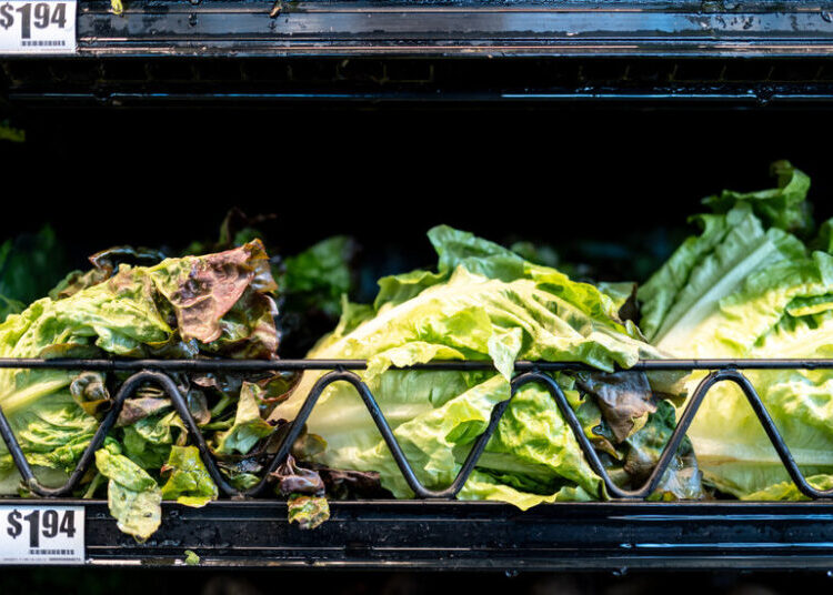 Health Officials in Michigan Identify ‘Potential Source’ of Cyclospora Outbreak