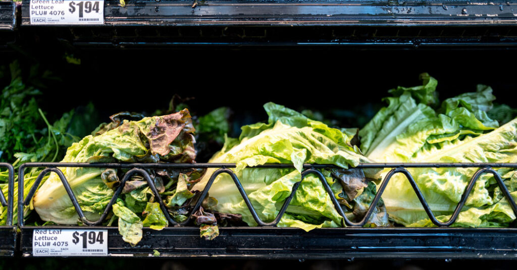 Health Officials in Michigan Identify ‘Potential Source’ of Cyclospora Outbreak
