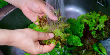 Cyclospora Cases Rise Rapidly, With No Source Yet Confirmed