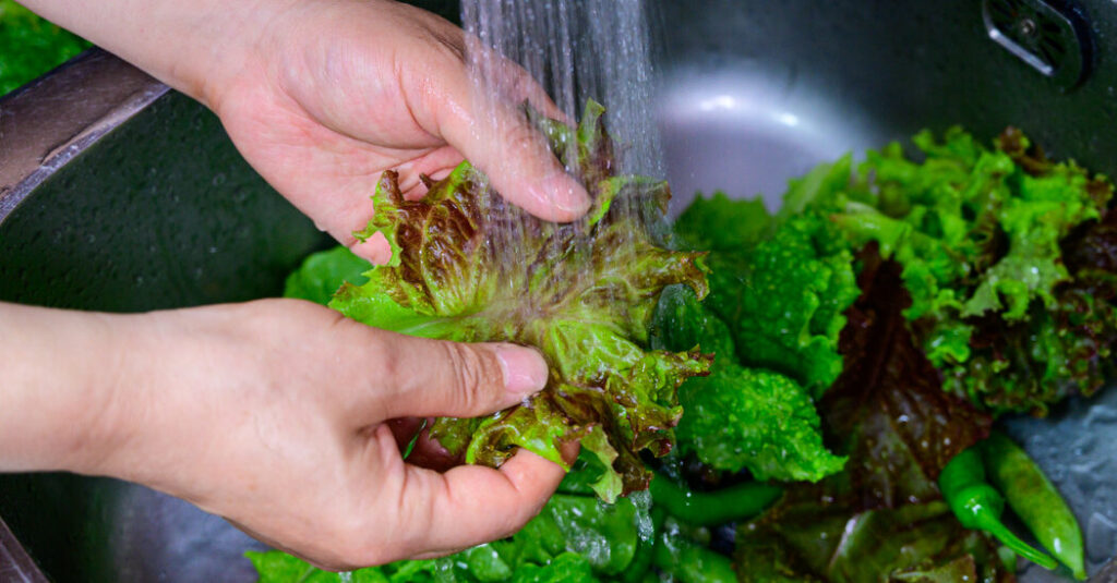 Cyclospora Cases Rise Rapidly, With No Source Yet Confirmed