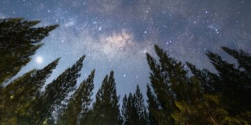 What July’s Minor Grand Trine Means for Your Zodiac Sign, According to Astrologers
