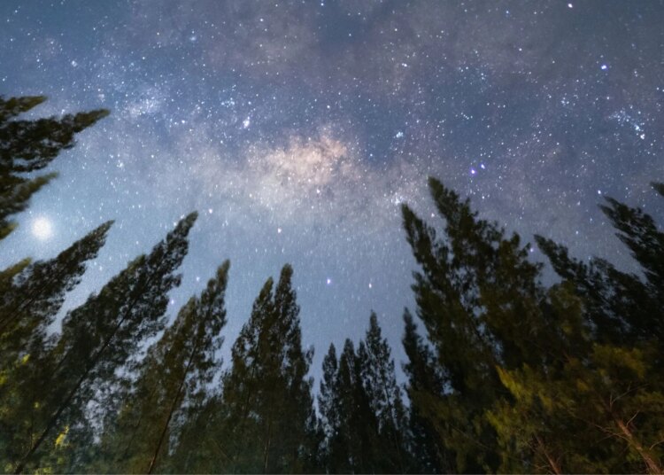 What July’s Minor Grand Trine Means for Your Zodiac Sign, According to Astrologers