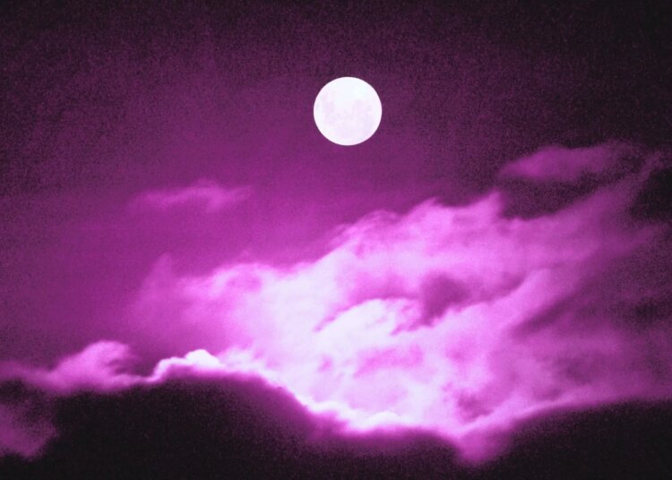 What July’s New Moon in Cancer Means for Your Zodiac Sign, According to an Astrologer