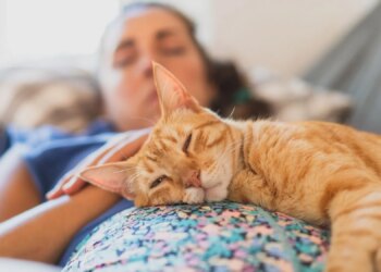Why You Feel Guilty for Resting, According to Psychology