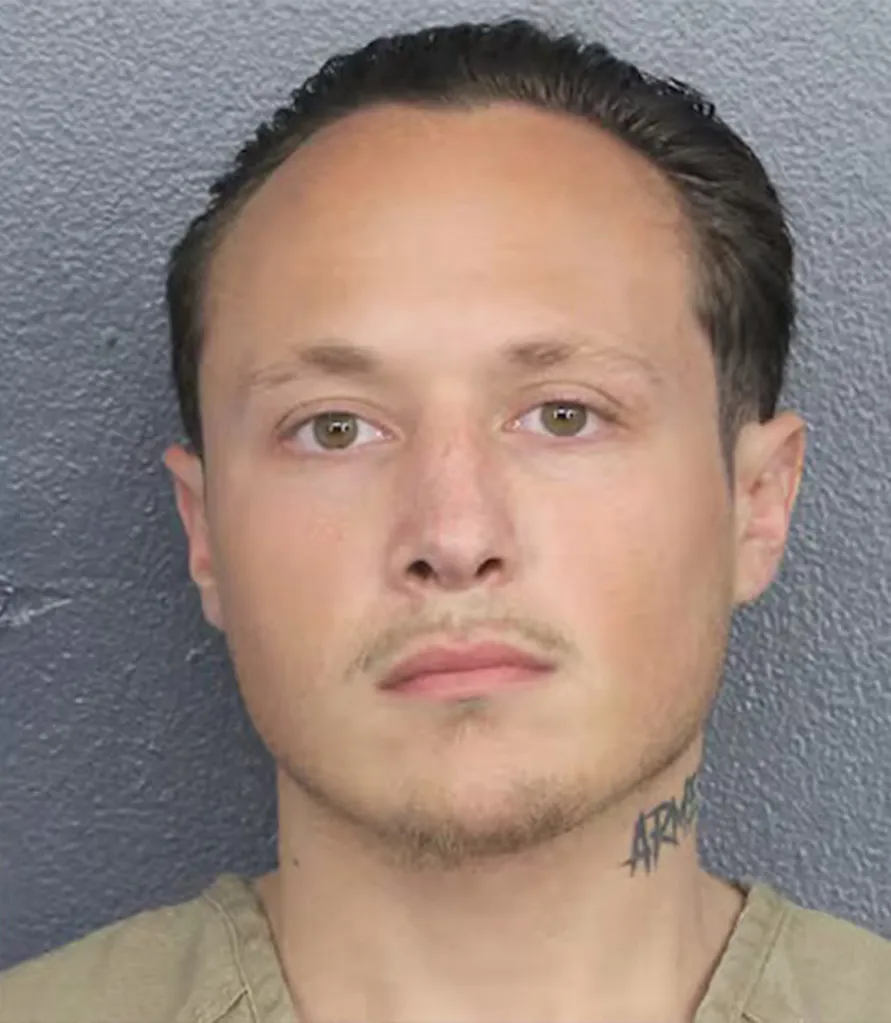 Brett Anthony Bellera
The son of 'Long Island Lolita' Amy Fisher has been accused of animal cruelty