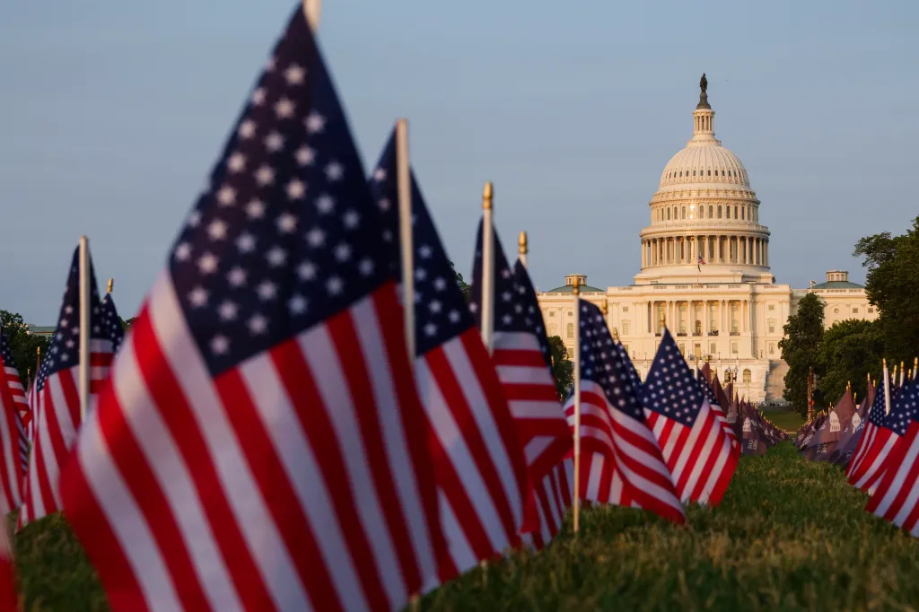 American flags displayed on the National Mall with the U.S. Capitol Building in the background.