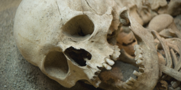 Ancient Cave Found Packed With Only Female Human Remains Baffles Scientists