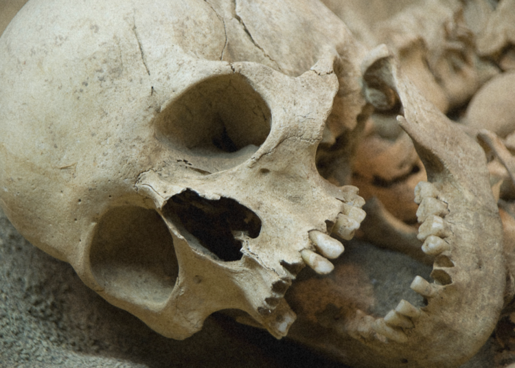 Ancient Cave Found Packed With Only Female Human Remains Baffles Scientists