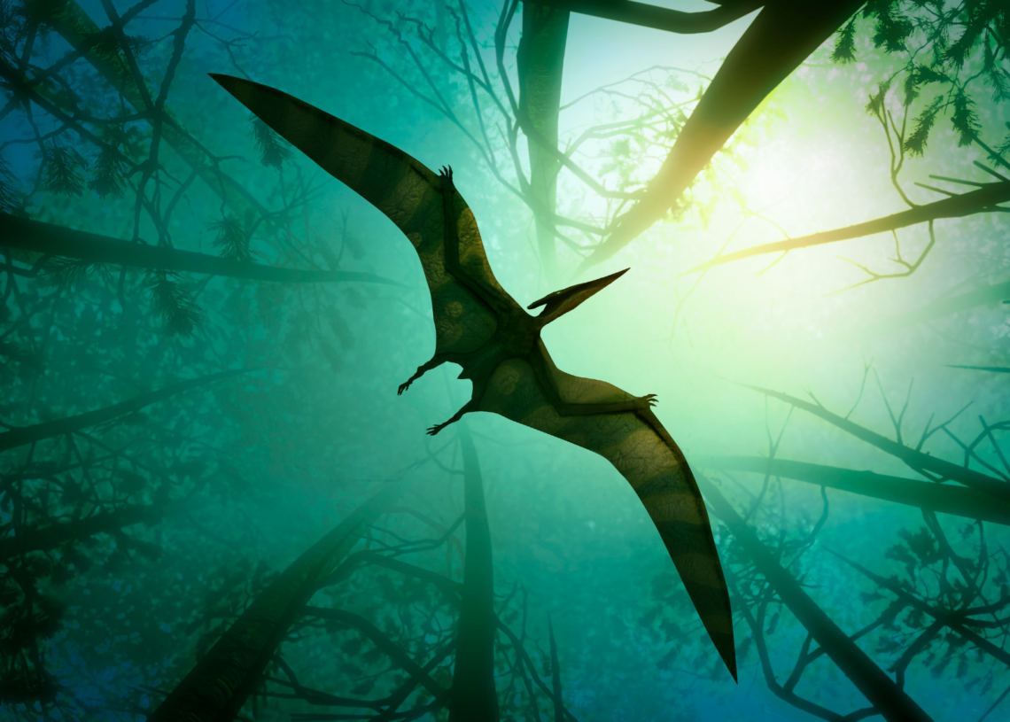 Ancient Molecules on a Pterosaur Fossil Revealed What Its Diet Looked Like 100 Million Years Ago